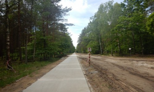 Zdjecie POLSKA / Dolny lsk / Milicz - migrd / Park Krajobrazowy Dolina Baryczy - rowerem.