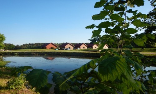 Zdjecie POLSKA / Dolny lsk / Miejsce biwakowe / Camping - Ostoja.