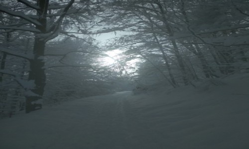 Zdjęcie POLSKA / Beskid Śląski / Czantoria Wielka / Zima