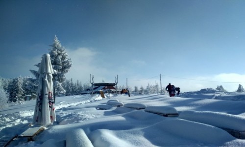Zdjęcie POLSKA / Beskid Śląski / Czantoria Wielka / Zima 2021