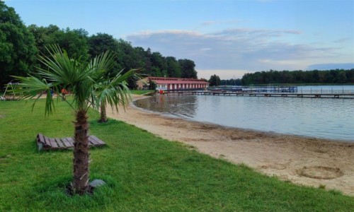 Zdjcie POLSKA / zachodniopomorskie / Choszczno / Plaa miejska w Choszcznie