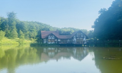 Zdjęcie POLSKA / Pomorze  / Strzelinko  / Dolina Charlotty
