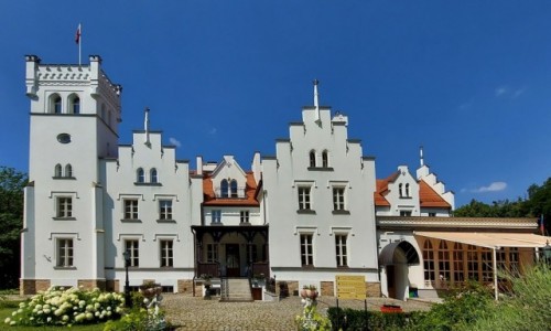 Zdjecie POLSKA / opolskie / Sulisaw / Paac od strony parku
