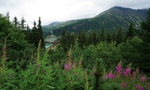 Zdjecie POLSKA / Tatry / Hala Gsienicowa / Schronisko Murowaniec