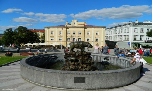 Zdjęcie POLSKA / woj.podkarpackie. / Przemyśl. / Przemyśl - fontanna Niedźwiedzi na tle Ratusza.