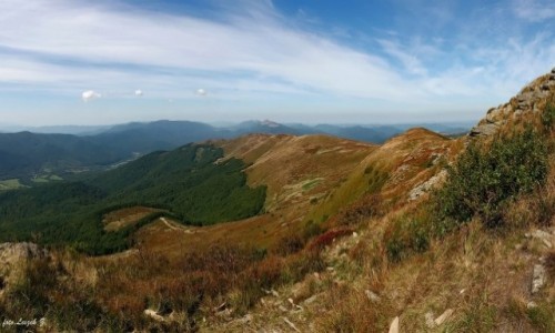 Zdjecie POLSKA / woj.podkarpackie. / Tarnica 1346 m. / Panorama z Tarnicy.