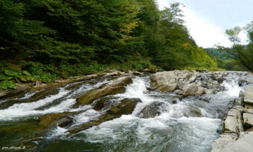 Zdjecie POLSKA / woj.podkarpackie. /  gmin Cisna, Solina i Czarna / Bieszczady -  Rezerwat 