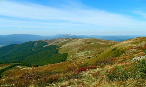 Zdjcie POLSKA / woj.podkarpackie. / Szczyt Tarnicy 1346 m. / Widok z Tarnicy.