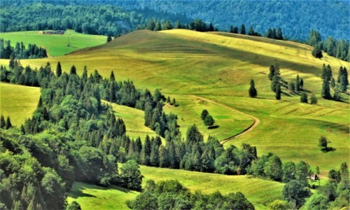 Zdjecie POLSKA / Maopolska / rezerwat Biaa Woda, Mae Pieniny / piknego dnia...