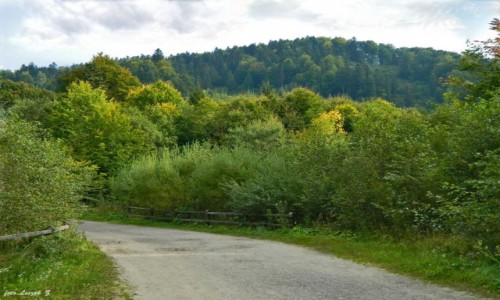 Zdjęcie POLSKA / woj.podkarpackie. / Sine Wiry. / Jesień w Bieszczadach.