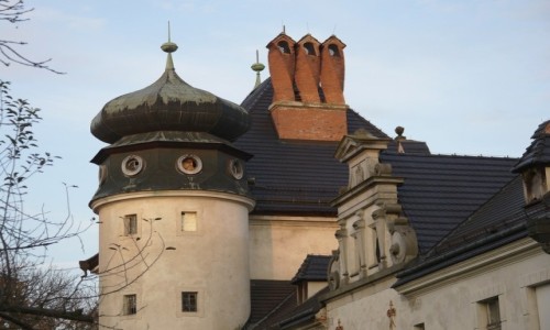 Zdjecie POLSKA / opolskie / Dbrowa Niemodliska / Unikalne kominy zamkowe