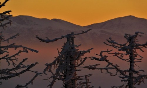 Zdjcie POLSKA / gorce / Turbacz / Tatry z Turbacza o zachodzie