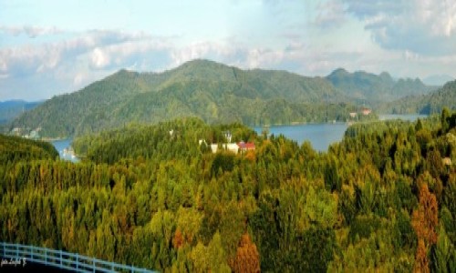 Zdjecie POLSKA / woj.podkarpackie. / Polaczyk. / Polaczyk - Panorama z punktu widokowego nr.2