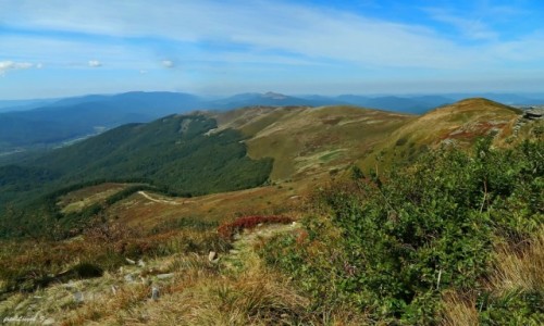 Zdjcie POLSKA / Bieszczady. / Szczyt Tarnicy 1346 m. / Tarniczka i Szeroki Wierch z Tarnicy.