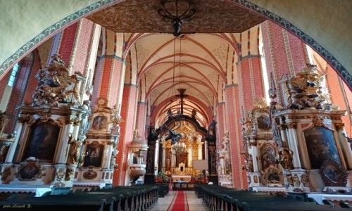 Zdjecie POLSKA / woj.kujawsko-pomorskie. / pow.chemiski. / Chemno - Koci farny pod wezwaniem Wniebowzicia Najwitszej Marii Panny - wntrze.