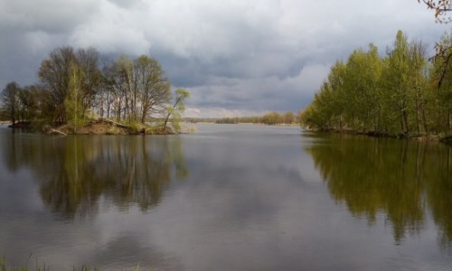 Zdjecie POLSKA / Dolina Baryczy / Grabwka / Przed burz