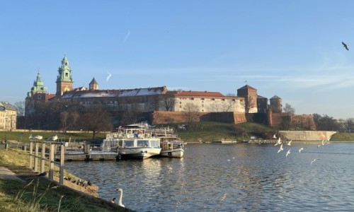 Zdjęcie POLSKA / Kraków  / Kraków  / Wawel w całej okazałości