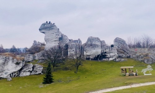 Zdjecie POLSKA / Ogrodzieniec  / Zamek Ogrodzieniec  / Widok z zamku Ogrodzieniec 