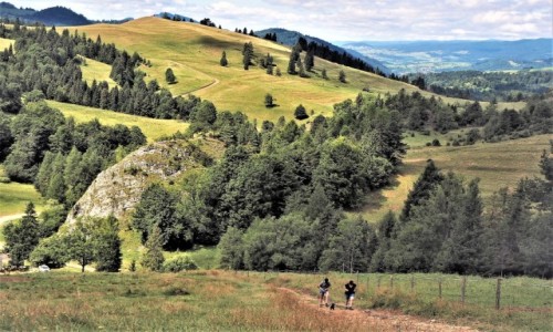 Zdjcie POLSKA / Maopolska / Rezerwat Przyrody Biaa Woda, Mae Pieniny / z sierpniowej wdrwki...