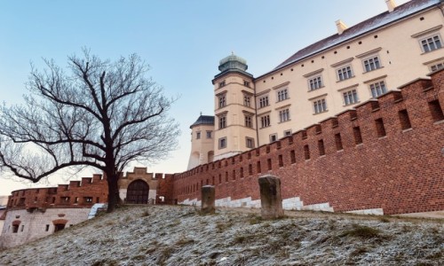 Zdjcie POLSKA / Krakw  / Wawel  / Wawel zim 