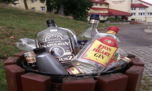 Zdjęcie POLSKA / Dolny Śląsk / M. Izermed a Kliniką Młodości / Niekonwencjonalne metody rehabilitacji