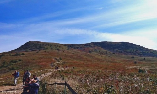 Zdjcie POLSKA / Bieszczady. / Szlak na Tarnic. / Widok na Krlow Bieszczadw.