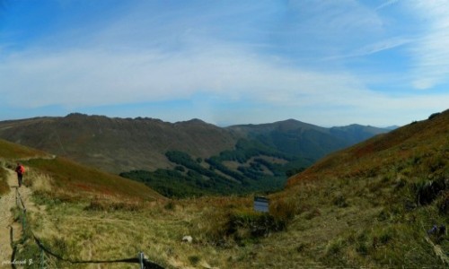 Zdjcie POLSKA / Bieszczady. / Szlak na Tarnic. / Widok z przeczy.