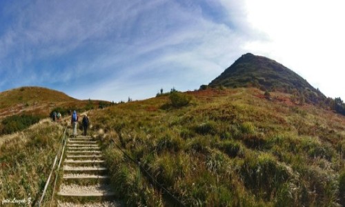 Zdjcie POLSKA / Bieszczady. / Szlak na Tarnic. / Szlak na Tarnic.