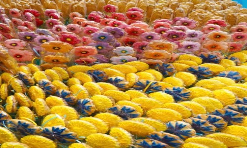 Zdjęcie POLSKA / Warszawa / Targi Książki / 10000 miodowych pierników