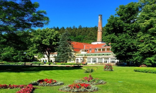Zdjecie POLSKA / dolnolskie / Duszniki Zdrj / Sanatorium w parku