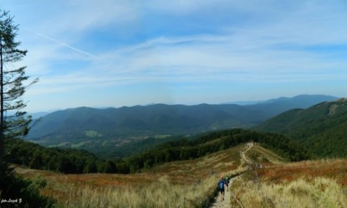 Zdjcie POLSKA / Bieszczady. / Szlak na Tarnic. / Ze szlaku na Tarnic.