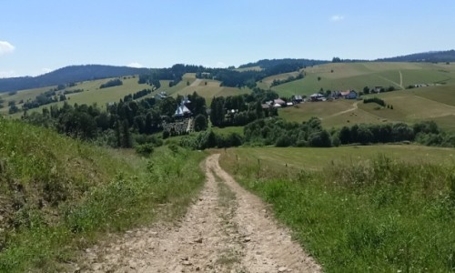 Zdjecie POLSKA / Poland / Beskid Niski  / GSB