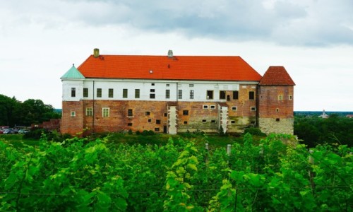Zdjcie POLSKA / Woj. Switokrzyskie / Sandomierz / Zamek krlewski
