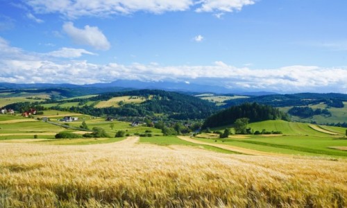 Zdjcie POLSKA / Pieniny / Sromowce Wyne / Pagrki