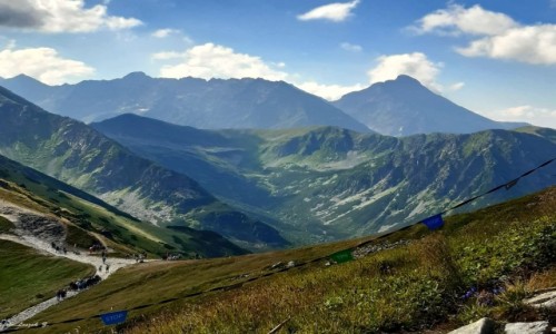 Zdjcie POLSKA / woj.maopolskie. / Kasprowy Wierch. / Krywa w roli gwnej.