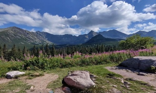 Zdjcie POLSKA / Zakopane. / Hala Gsienicowa. / Na Hali Gsienicowej.