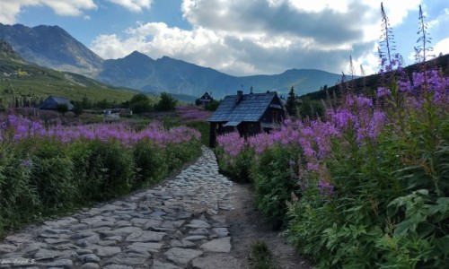 Zdjcie POLSKA / Zakopane. / Hala Gsienicowa. / Hala Gsienicowa.