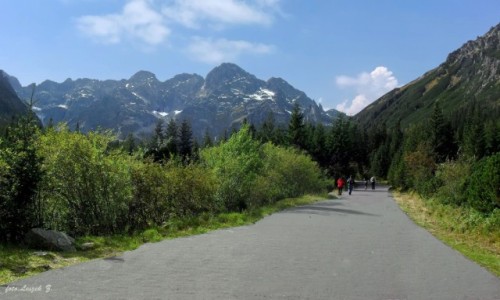 Zdjcie POLSKA / Morskie Oko. / Polana Wosienica. / Otoczenie Morskiego Oka.