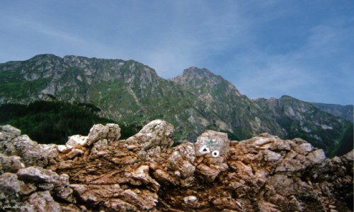 Zdjcie POLSKA / Zakopane. / Sarnie Skay 1378 m. / Giewont z Sarnich Ska.