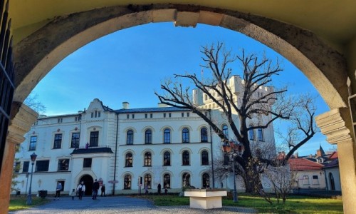 Zdjcie POLSKA / Beskidy / ywiec / Stary zamek w ywcu