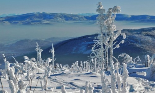 Zdjcie POLSKA / Beskid lski / Skrzyczne / Epicko...