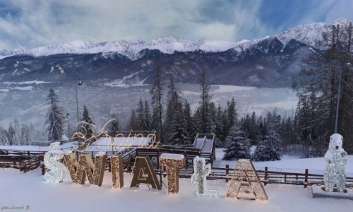 Zdjcie POLSKA / woj.maopolskie. / Zakopane. / Na Gubawce.