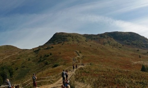 Zdjcie POLSKA / Bieszczady. / Bieszczady. / Szlak na Tarnic.