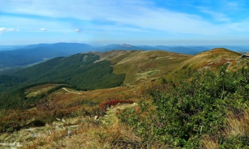 Zdjcie POLSKA / Bieszczady. / Bieszczady. / Ze szlaku na Tarnic.