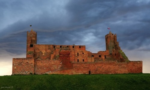 Zdjcie POLSKA / woj, kujawsko-pomorskie. / Radzy Chemiski. / Ruiny zamku krzyackiego.