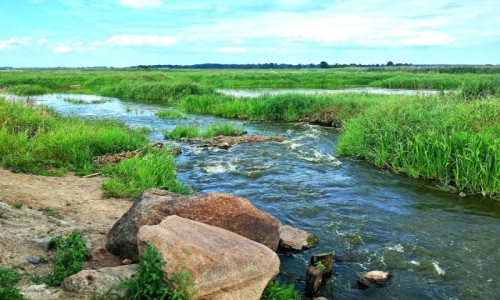 Zdjcie POLSKA / Podlasie / Waniewo / Rzeka Narew