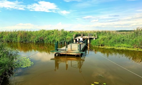 Zdjecie POLSKA / Podlasie / Rzeka Narew - Kadka Waniewo liwno / Przeprawa wodna
