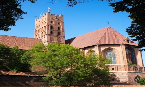 Zdjcie POLSKA / Pomorze / Muzeum zamkowe w Malborku / Wiea