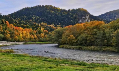 Zdjecie POLSKA / Mae Pieniny / Szczawnica / Dunajec w Szczawnicy