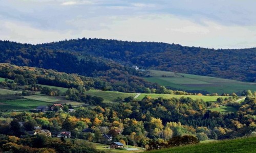 Zdjcie POLSKA / Beskid Sdecki / okolice Szczawnicy / Jest piknie